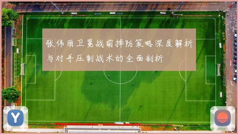 张伟丽卫冕战前摔防策略深度解析与对手压制战术的全面剖析